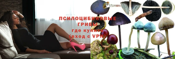 сатива Бронницы