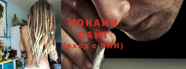 дурь Бородино