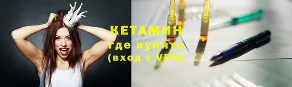 дурь Бородино