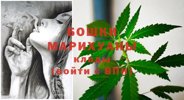 гидра Верея