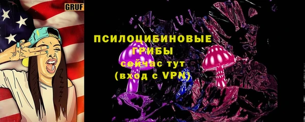 дурь Бородино