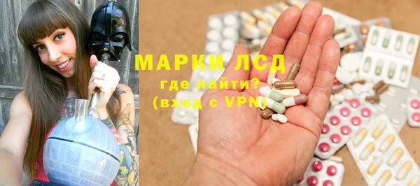 гидра Верея
