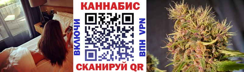 Бошки Шишки VHQ  купить   Гай 